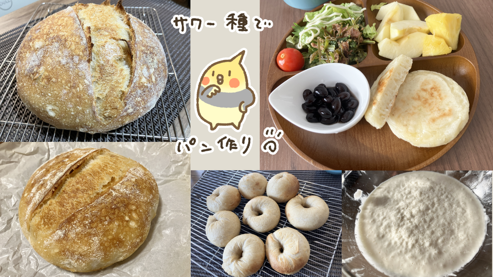 Thumbnail of post image 178