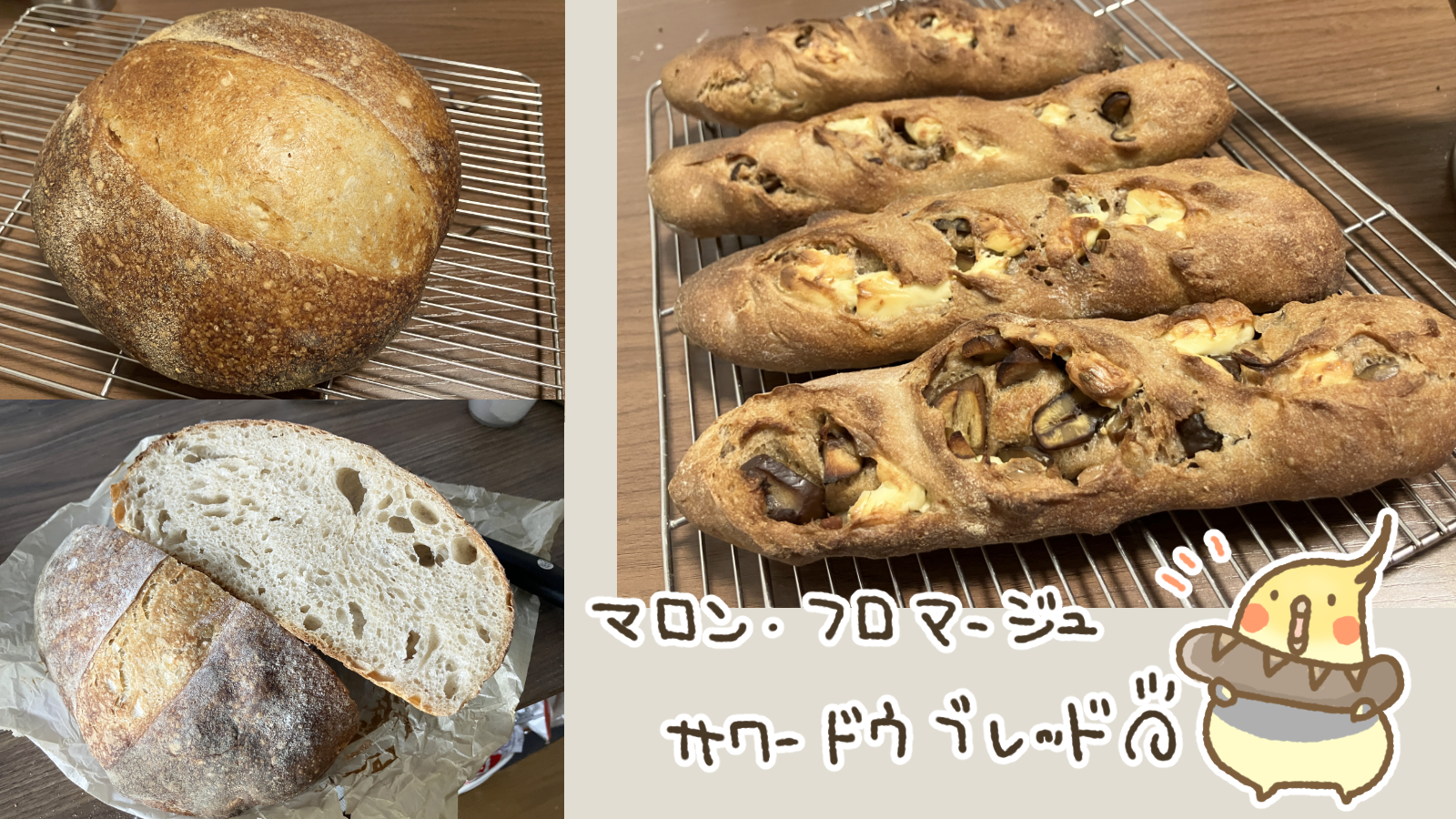 Thumbnail of post image 169