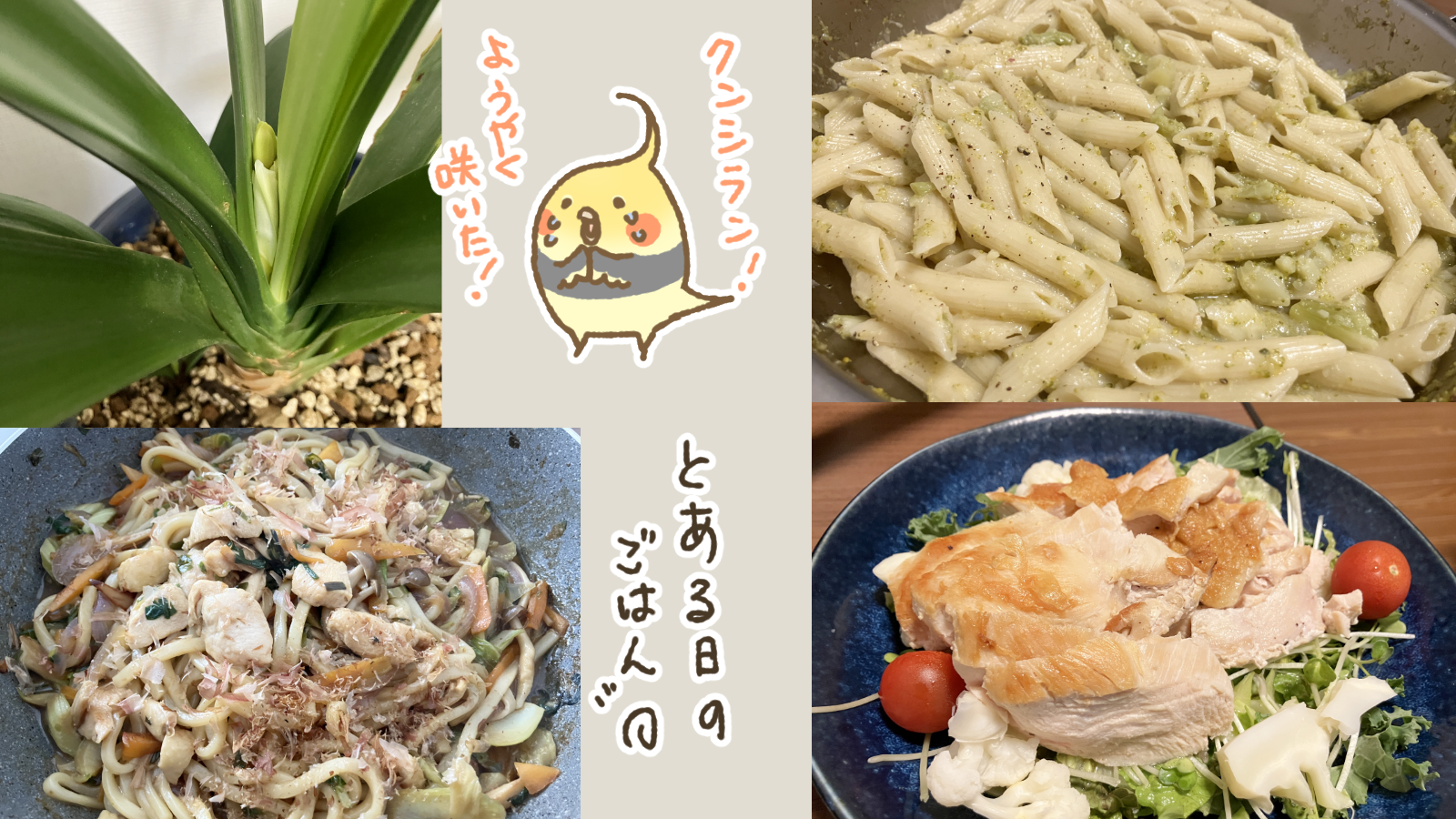 Thumbnail of post image 179