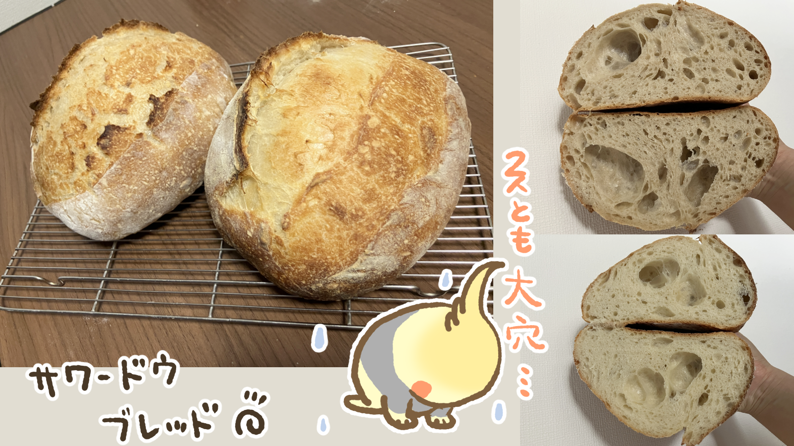 Thumbnail of post image 032