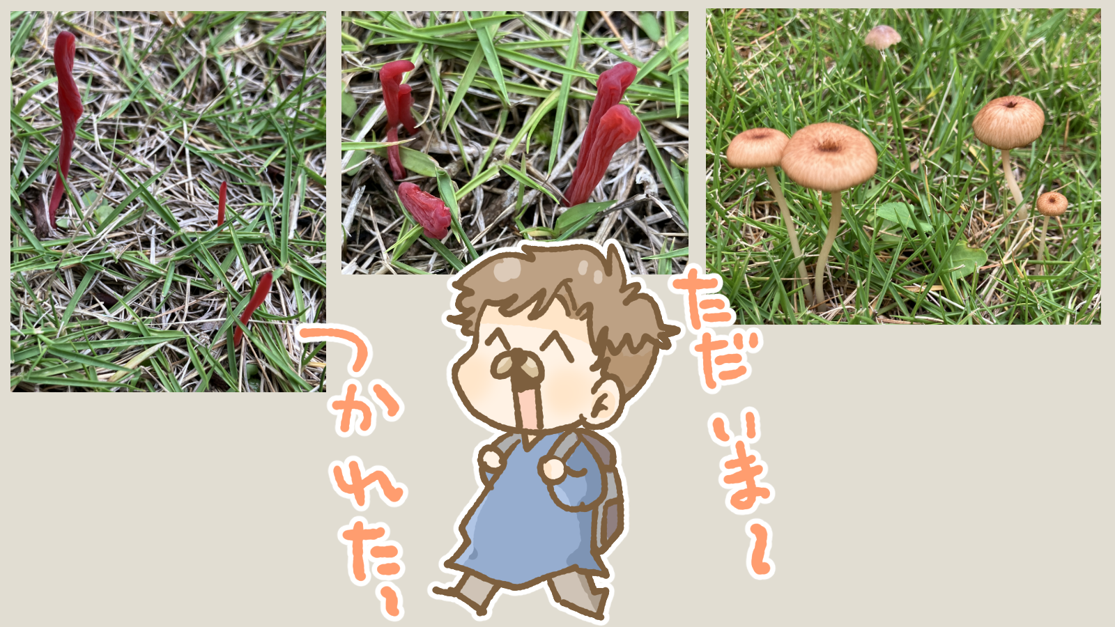 Thumbnail of post image 122
