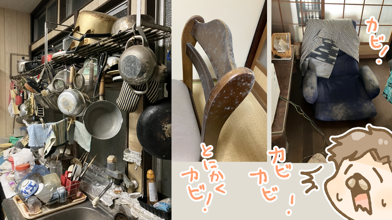 Thumbnail of post image 109